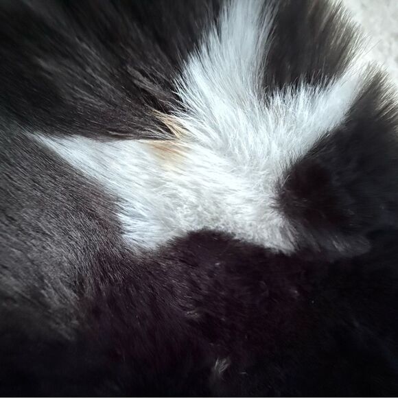 Epic Threads Big Girls Faux Fur Star Jacket Coat Black White Stars Whimsigoth XL - Picture 9 of 9